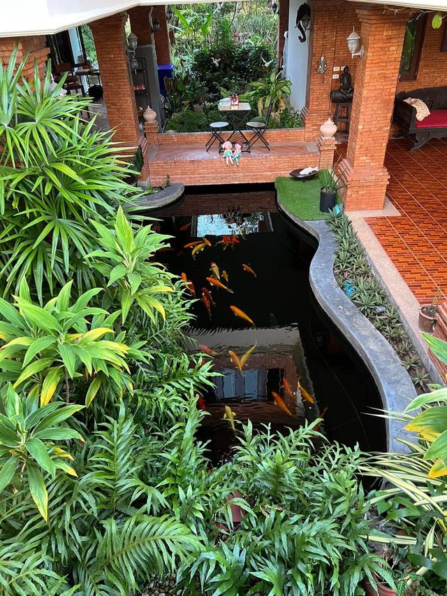 บ้านพร้อมที่ดิน 3
