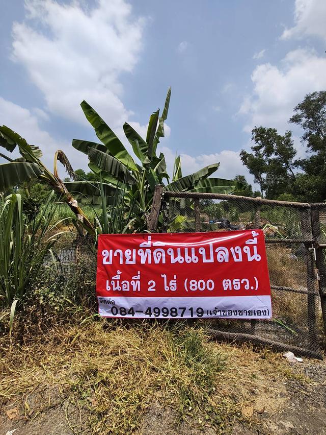 ที่ดินถมแล้ว คลอง 10 หนองเสือ เนื้อที่ 2 ไร่ ตอนนี้ให้เช่าปลูกอ้อยเพื่อจะไม่เป็นที่รกร้าง ถ้าสนใจจะปรับพื้นที่ให้ได้คะ 6