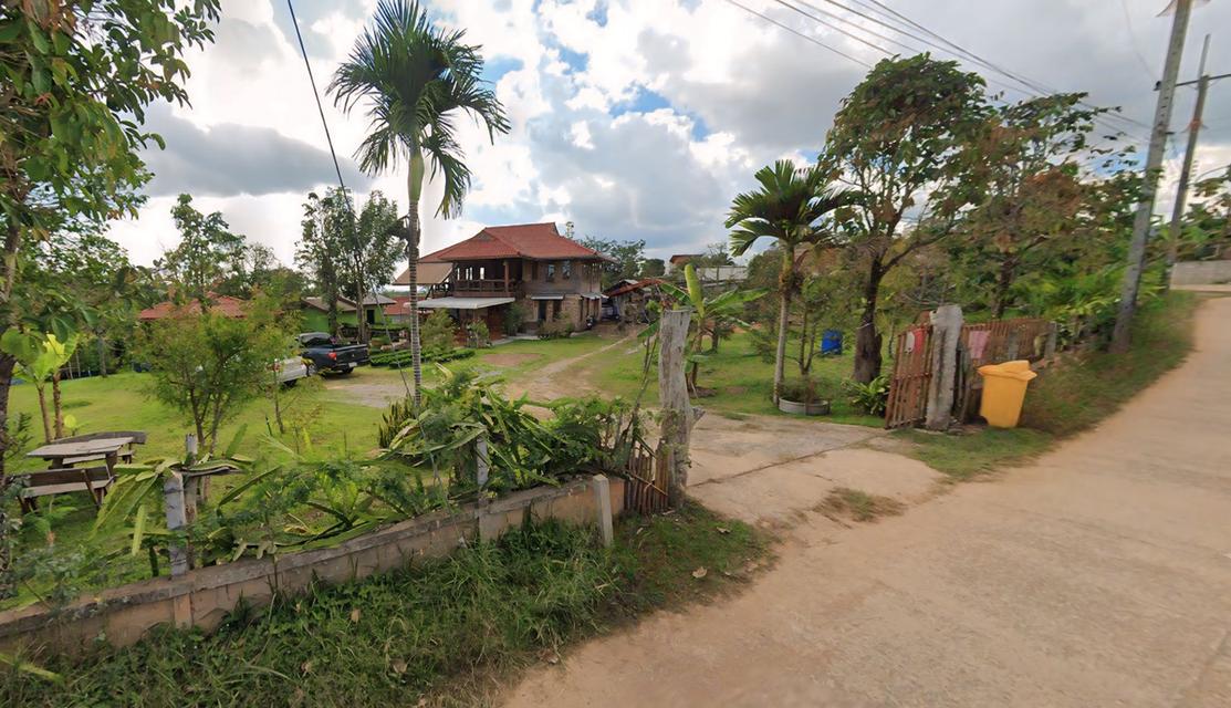 🔥 หลุดจอง! ที่ดิน 6 ไร่ + บ้าน + สวนทุเรียนให้ผลแล้ว (จ.เพชรบูรณ์) 8