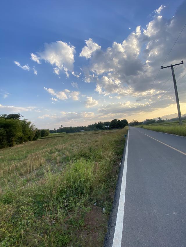 ขายที่ดินทางไปอ.ภูผาม่าน จ.ขอนแก่น 4