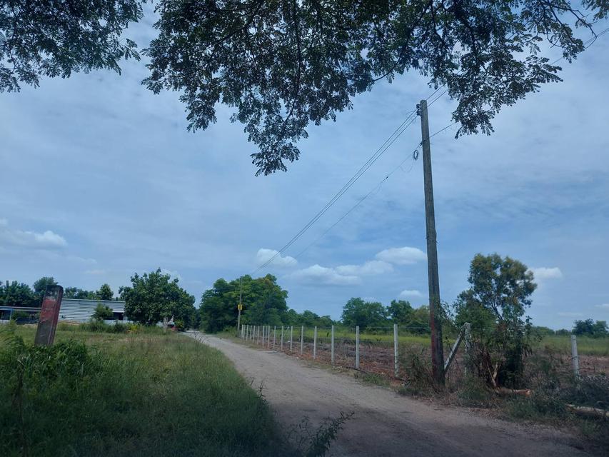 รูป ขายที่ดิน 2 ไร่ คลองหลวง คลองสอง 5