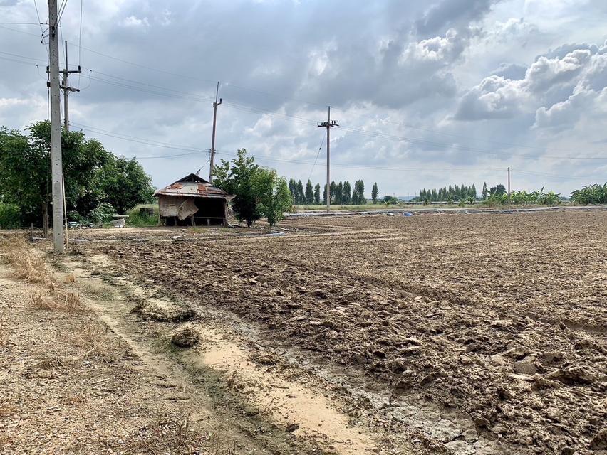 ขายที่ดินสวย10ไร่ โฉนดครุฑแดงพร้อมโอน ใกล้เทศบาลวังศาลา เข้าออกได้หลายทาง ติดถนนสาธารณะ วิวสวย บรรยากาศดี 5