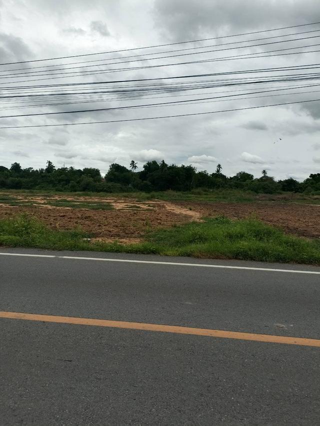 ขายที่ดินเปล่า 10 ไร่ 3 งาน 76 ตรว. ต.กระตีบ อ.กำแพงแสน จ.นครปฐม 2