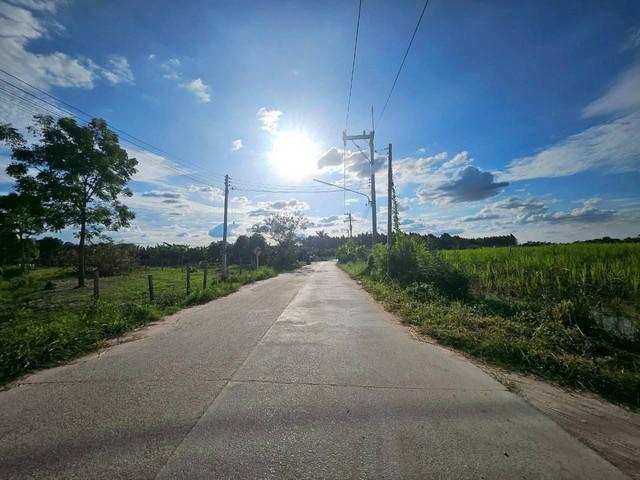 ขายที่ดินสวยพนัสถูกที่สุดในย่านนี้ ขายที่ดิน 47 ไร่ 40 ตารางวา ผังสีเหลือง ต.ทุ่งขวาง อ.พนัสนิคม จ.ชลบุรี 4