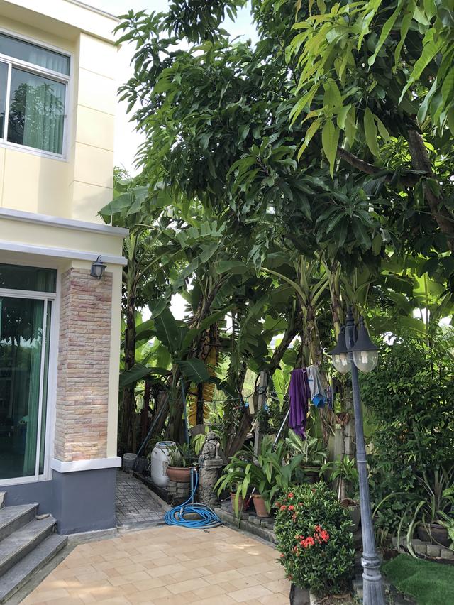 บ้านเดียว 2 ชั้นพร้อมสระว่ายน้ำ 19