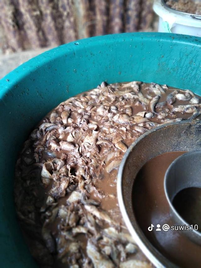 ปลาร้าโหน่งสูตรส้มต๊า