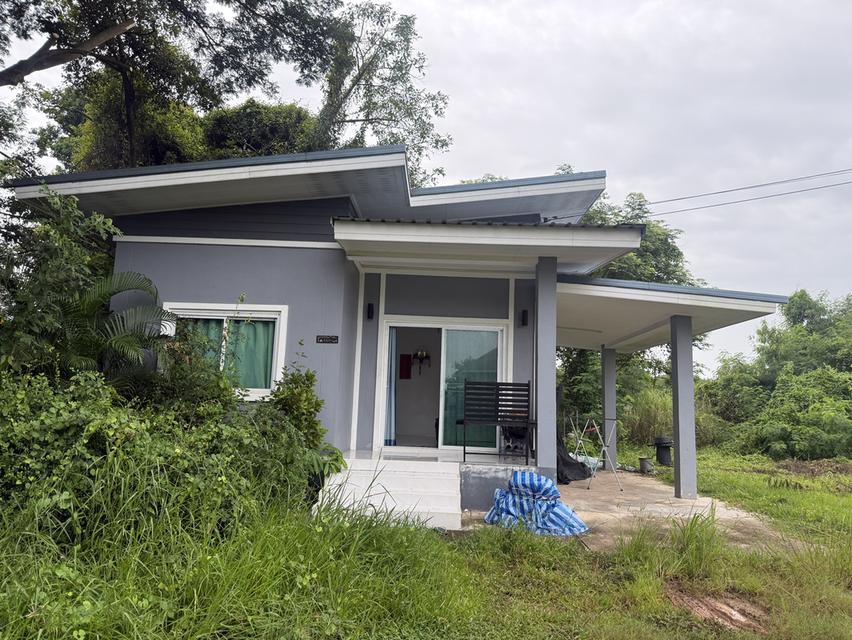 ขาย/เช่า บ้านเดี่ยว 10