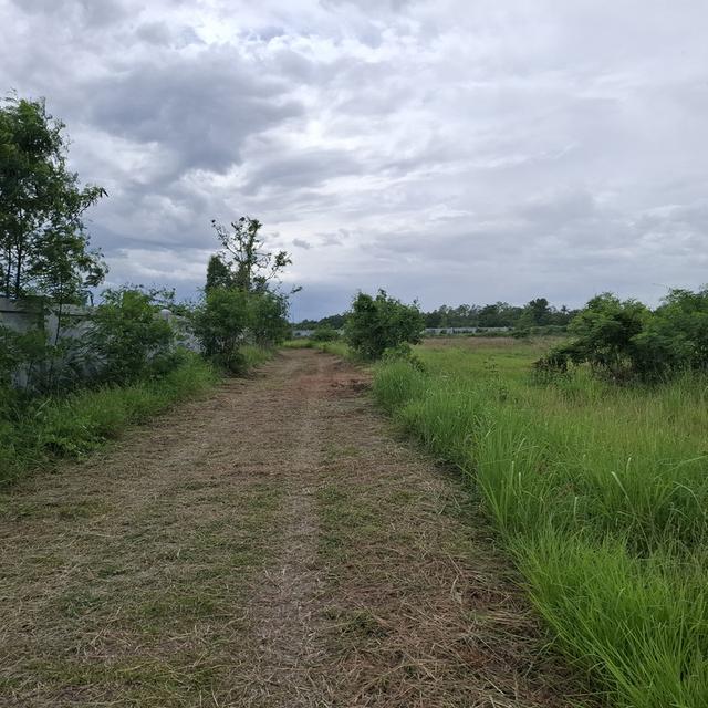 ขายที่ดินพร้อมโกดังติดวิวภูเขาสวยมากๆ