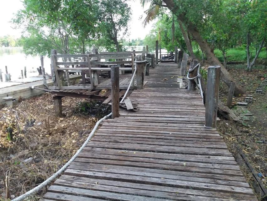 ที่ดินสวยติดแม่น้ำแม่กลอง 14