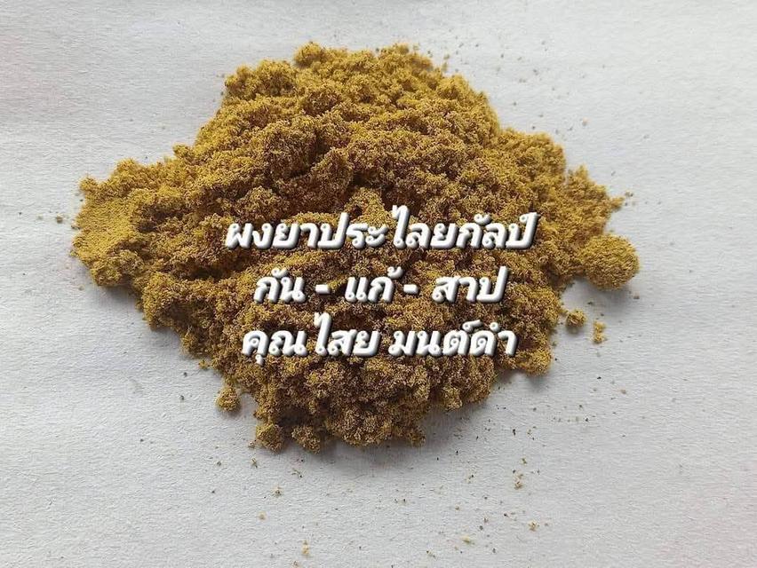 เบี้ยแก้ เบี้ยกัน รุ่นแรก พ.ศ.๒๕๖๔ปลุกเสกทั้งหมด ๕๙ วาระ จัดสร้างโดย...สำนักไชยมงคล (อาจารย์เหลี้ยม นาโยง) จ.ตรัง รูปที่ 4