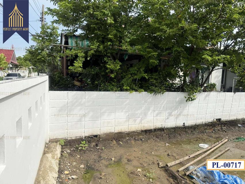 ขาย ที่ดิน นวมินทร์ บึงกุ่ม ทิศเหนือ เหมาะสร้างบ้านพักอาศัย 8
