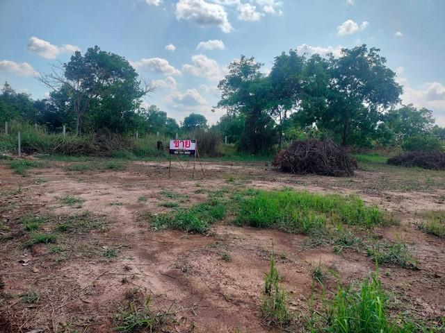 ขายที่ดินถมแล้ว 2 ไร่ ทำเลทอง หน้ามหาวิทยาลัยอุบลราชธานี เหมาะทำหอพัก / อพาร์ตเมนต์ 2