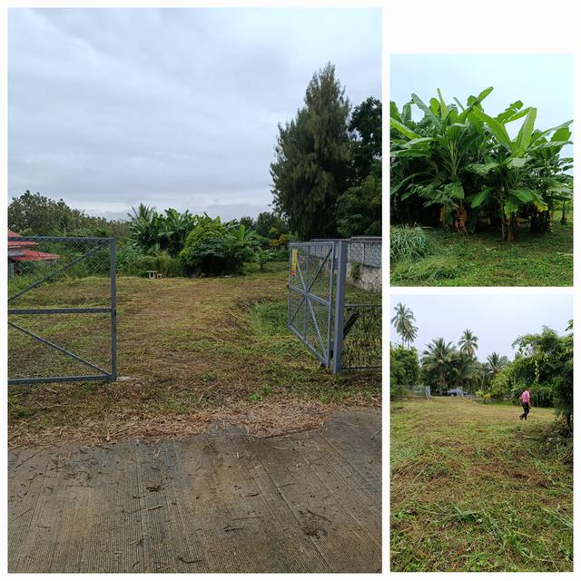 ที่ดินโฉนดครุฑแดง1ไร่ ต.กลางดง อ.ปากช่อง ใก้ล อ.มวกเหล็ก 5