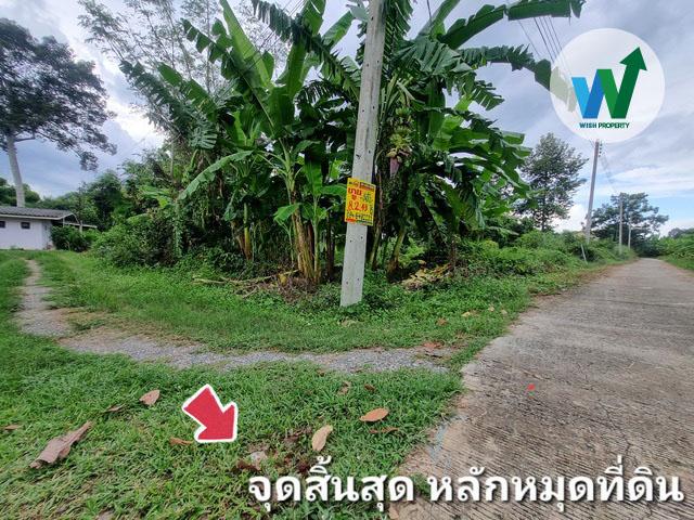 ขายที่ดินแปลงใหญ่ ศิลาดาน มโนรมย์ ชัยนาท 8ไร่ 2 งาน 49 ตร.ว. มีน้ำไฟพร้อม ใกล้ถนนพหลโยธิน 4