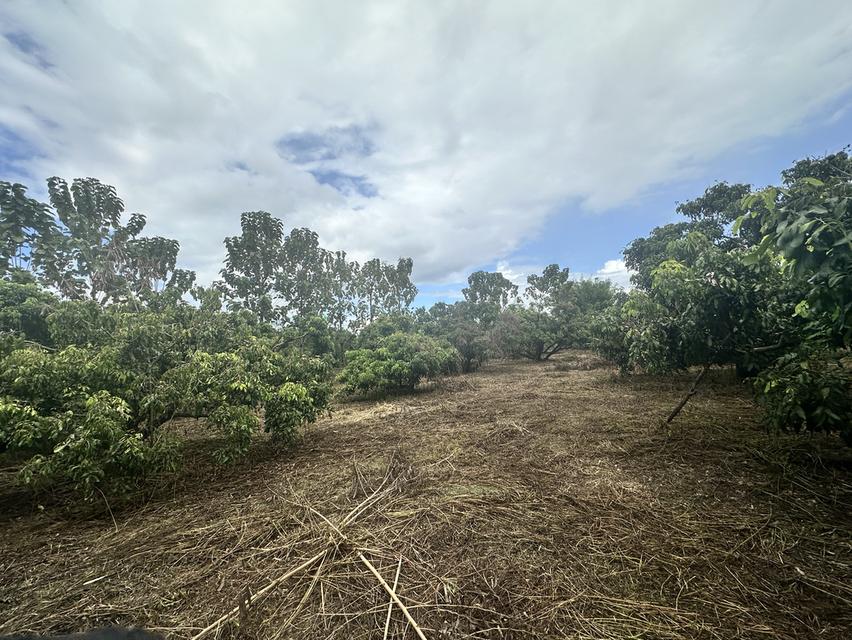 ที่ดิน 2