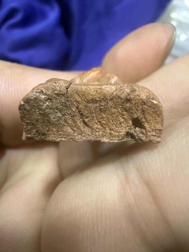 นางพญาพิษณุโลกพิมพ์เข่าโค้ง 6