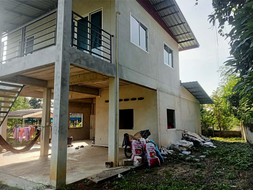 ขายบ้านพร้อมที่ดิน2ชั้น ตำบลหลุมข้าว อำเภอโนนสูง จังหวัดนครราชสีมา 5