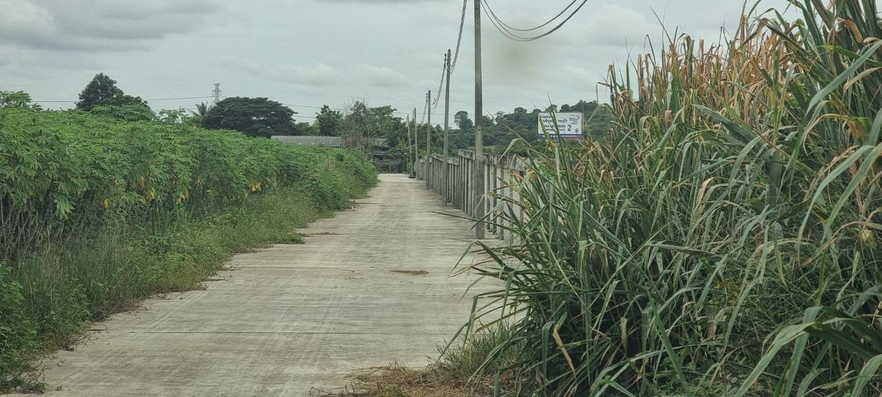 ขายที่ดิน