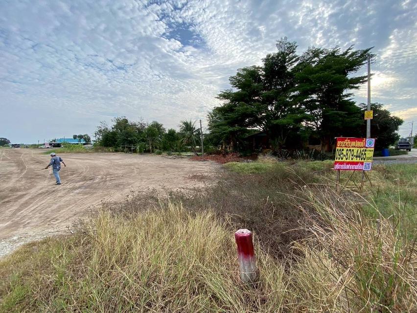 Vายถูกที่สุดที่ดิน 2ไร่ครึ่ง ติดถนนคอนกรีตสาธารณะ ถมแล้วnต.บางภาษี อ.บางเลน จ.นครปฐม 3