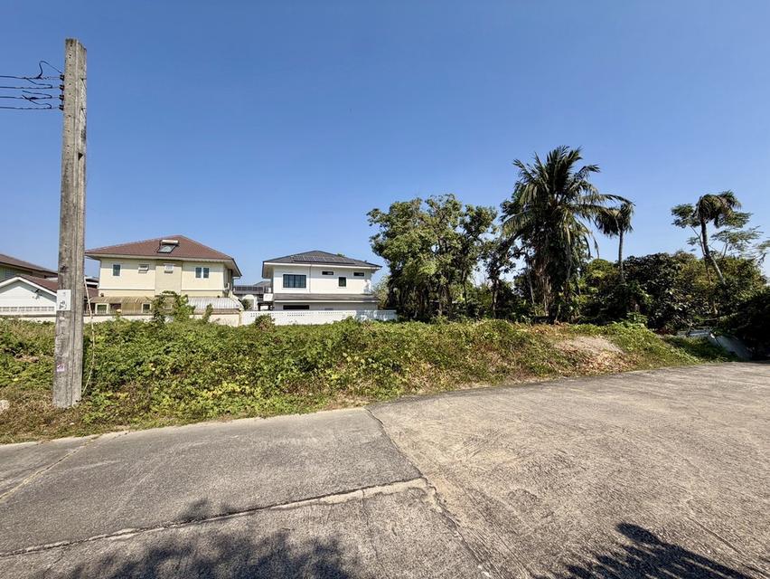 ขายที่ดินเปล่า ขนาด 105 ตร.ว. ซ.แก้วเงินทอง 40/1 ตลิ่งชัน เดินทางสะดวก ใกล้แหล่งชุมชน 5