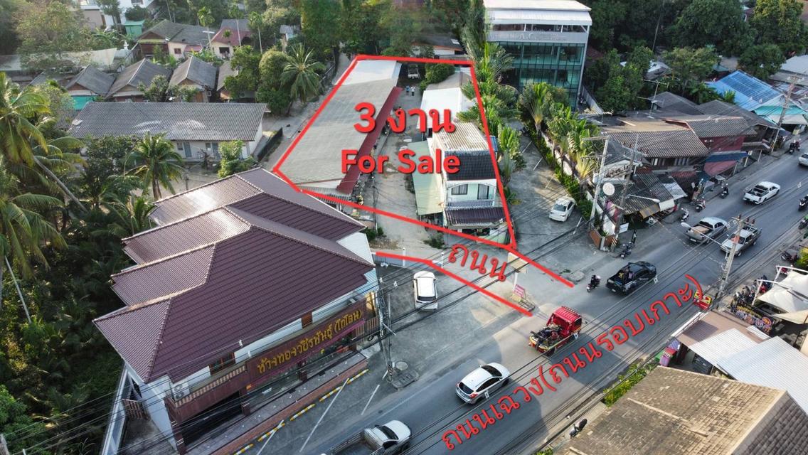 ที่ดินสมุย 3 งาน เหมาะลงทุน 1