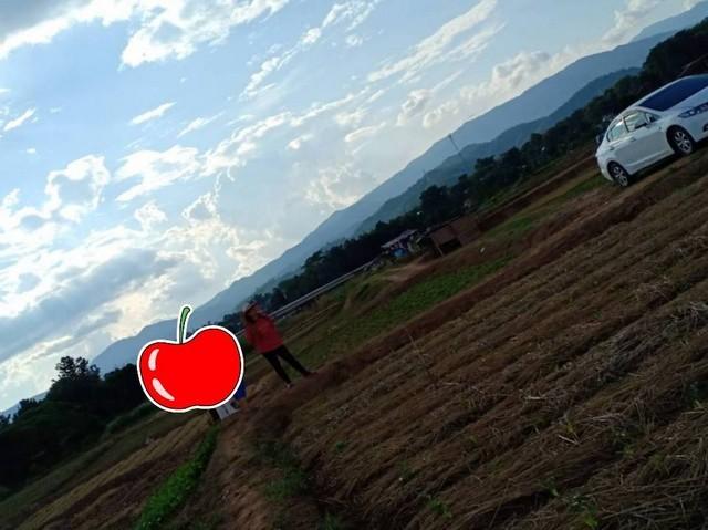 เล็งทรัพย์ดีเก็งเก็บอนาคต ที่สวยติดแม่น้ำน่าน น้ำใสไหลรินตลอดปี ต.ศรีภูมิ อ.ท่าวังผา จ.น่าน ขาย 800000 วิวดีสวยมาก 09688 1