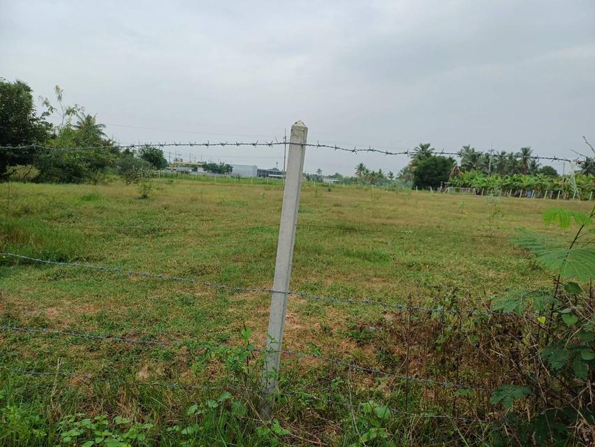 ขายที่ดินเปล่าถมแล้วจำนวน 4 ไร่ ต.เขาขลุง อ.บ้านโป่ง จ. ราชบุรี ห่างถนนใหญ่ 40 เมตร(ถนนกำลังขยาย 4 เลน) 11