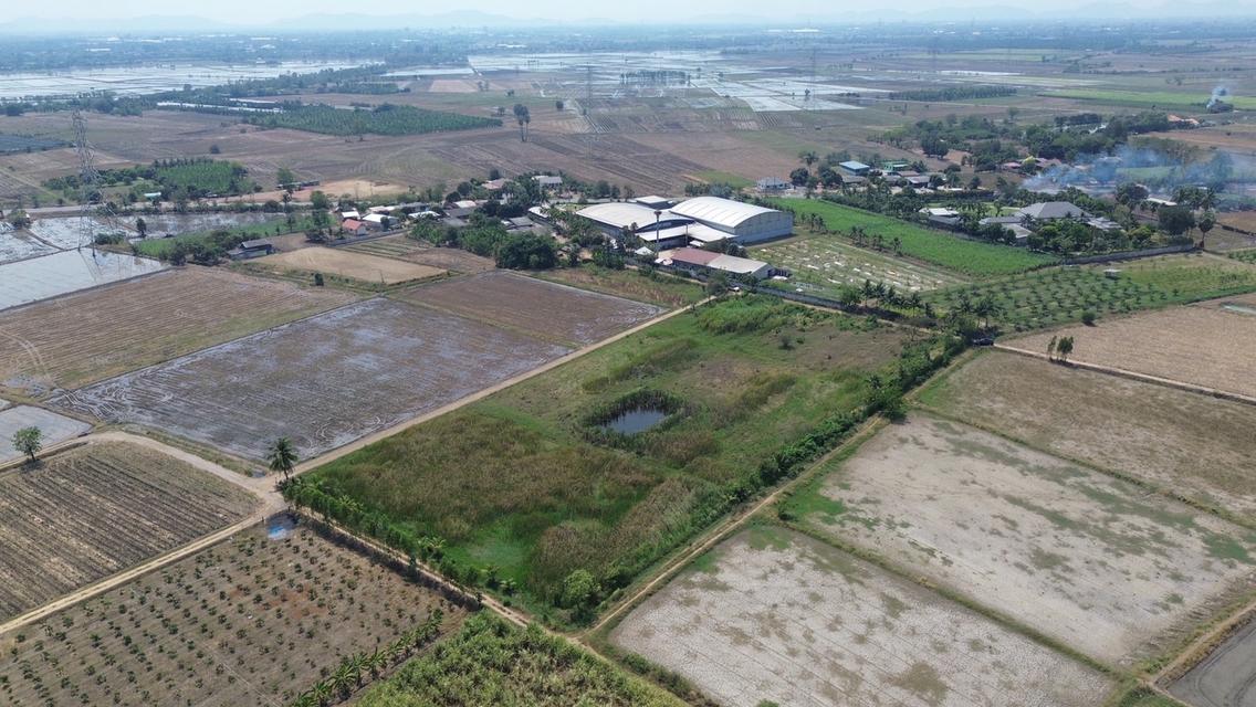 🔥 ขายที่ดินโฉนดแปลงใหญ่ 9 ไร่ ใกล้มอเตอร์เวย์ M81 กาญจนบุรี ทำเลศักยภาพสูง เหมาะลงทุน 🔥 6