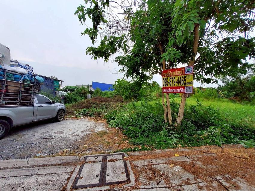 ขายด่วนที่ดิน 206 ตรว  ติดถนนคอนกรีต ซ.ลาดกระบัง 14/1 ราชาเทวะ บางพลี สมุทรปราการ 1