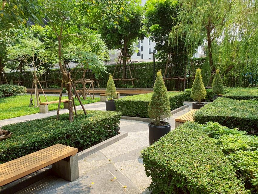 ์Noble Revolve Ratchada 2 Condo 15