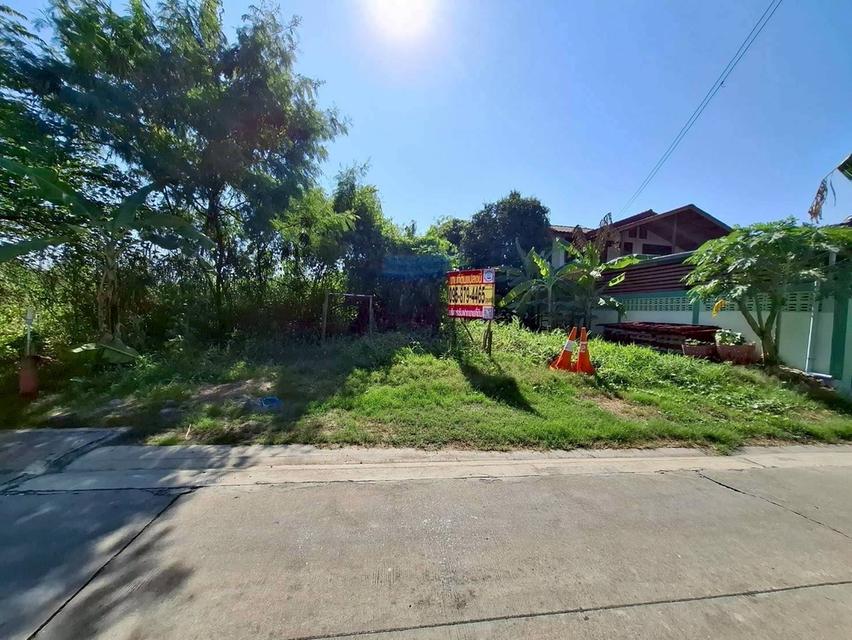 Vายถูกที่ดินซอยตองเปอะ 75 ตารางวา  ติดถนนน 2 ด้าน ถมแล้ว เทศบาล 3/2 อ.สามโคก จ.ปทุมธานี 5