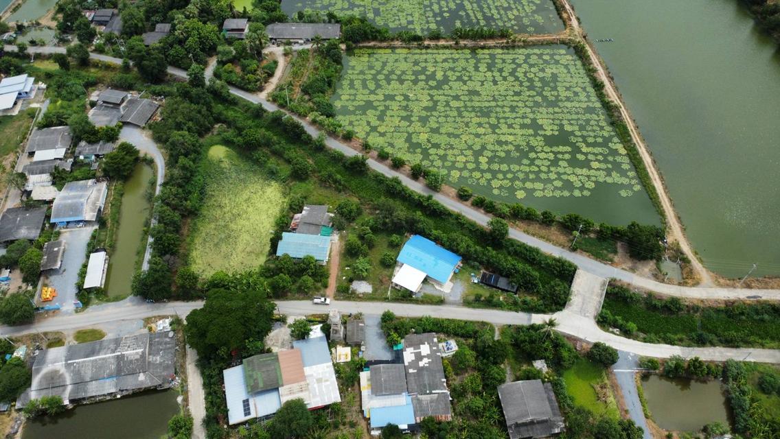 ขายที่ดินสวยราคาถูก 2