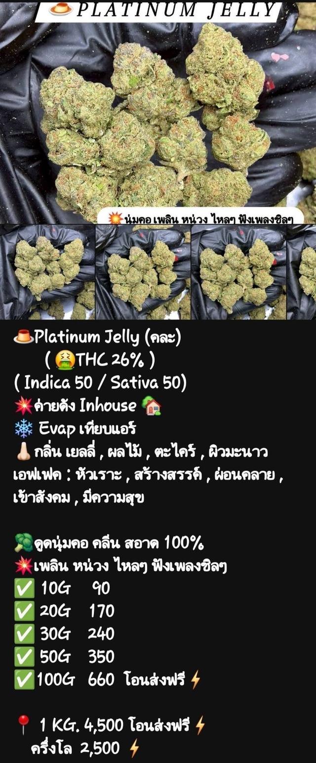 กัญๆ📲💯 8