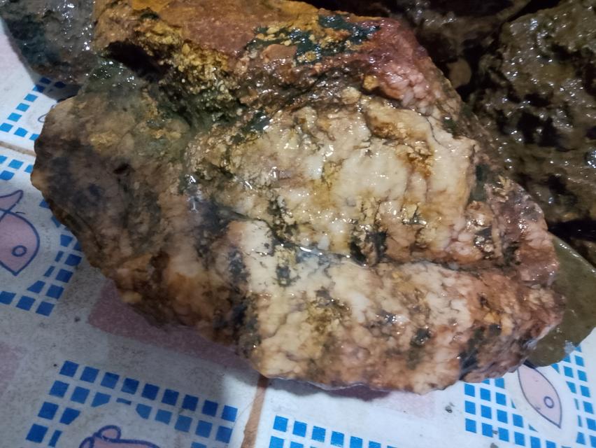 หินแร่ทองคำ อัญมนีต่างๆ รูปที่ 12