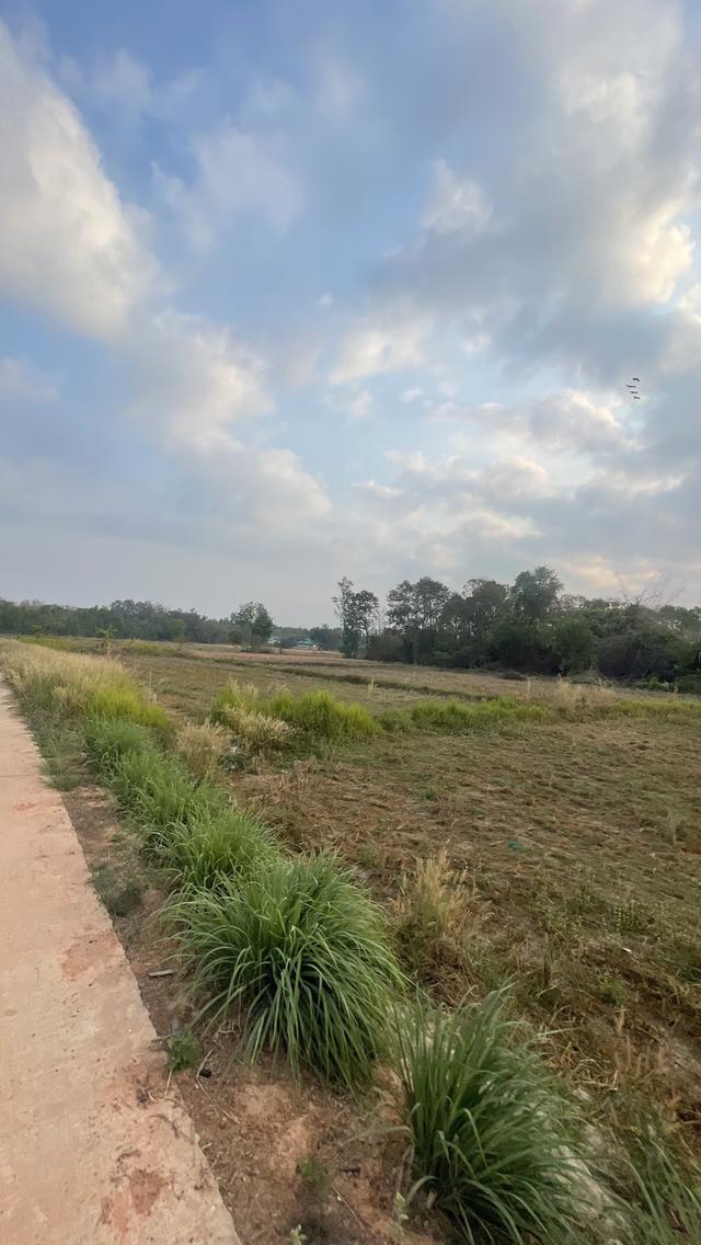 ขายที่ดินในเขตเทศบาล 1 ไร่ 2 งาน 76 ตรว. 5