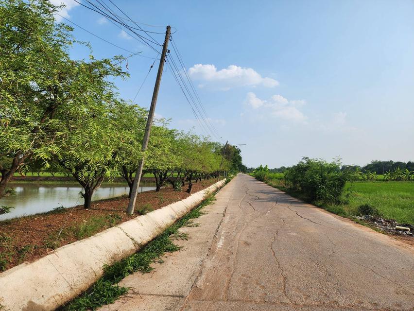 ขายที่ดินเปล่าใกล้เมืองขอนแก่น 6