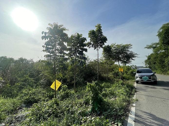 ที่ดิน 9