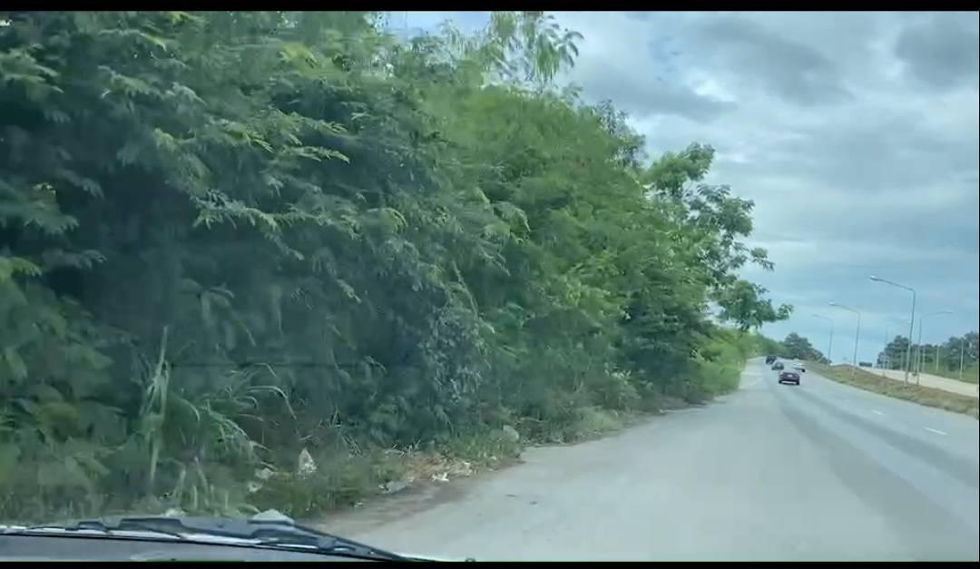 ขายที่ดินแปลงใหญ่ 56 ไร่ ติดถนนหลัก ทำเลทอง เส้นAEC เจ้าของขายเอง ราคาพิเศษ 1