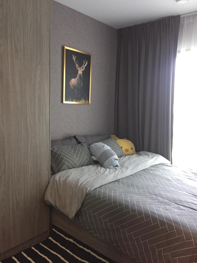 คอนโด น็อตติ้ง ฮิลล์ สุขุมวิท 105 6