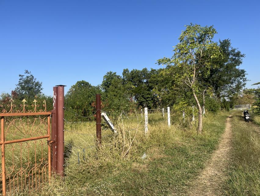 ขายที่ดิน1ไร่2งาน ใกล้คลังน้ำมัน เสาไห้ จ.สระบุรี 2