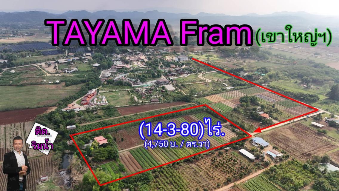 ขายที่ดินริมน้ำ | หลังTayama Farm Khaoyai (วิวลำธาร+เขา) 14-3-80 ไร่.(ไร่ล่ะ 1.9ลบ.) ต.คลองม่วง อ.ปากช่อง จ.นครราชสีมา. 1