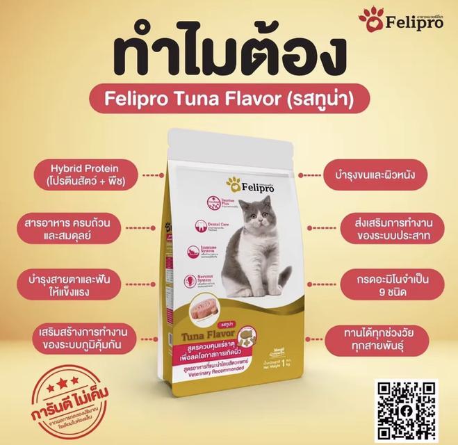 อาหารแมว Felipro 3