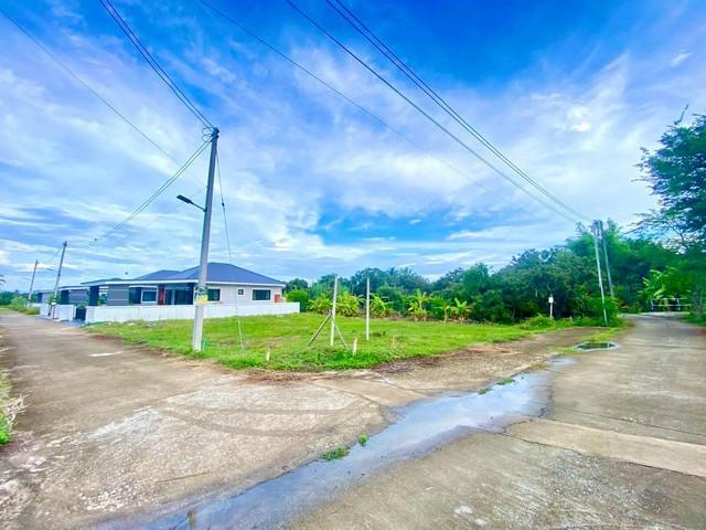 ขายที่ดิน100ตรว. 590,000บ. ฟรีโอน แปลงมุมด้านหน้า ด้านใน ใกล้น้ำปิง มีเพื่อนบ้าน ถ.คอนกรีต ถมดิน น้ำ ไฟฟ้า ต.สันทราย สาร 8