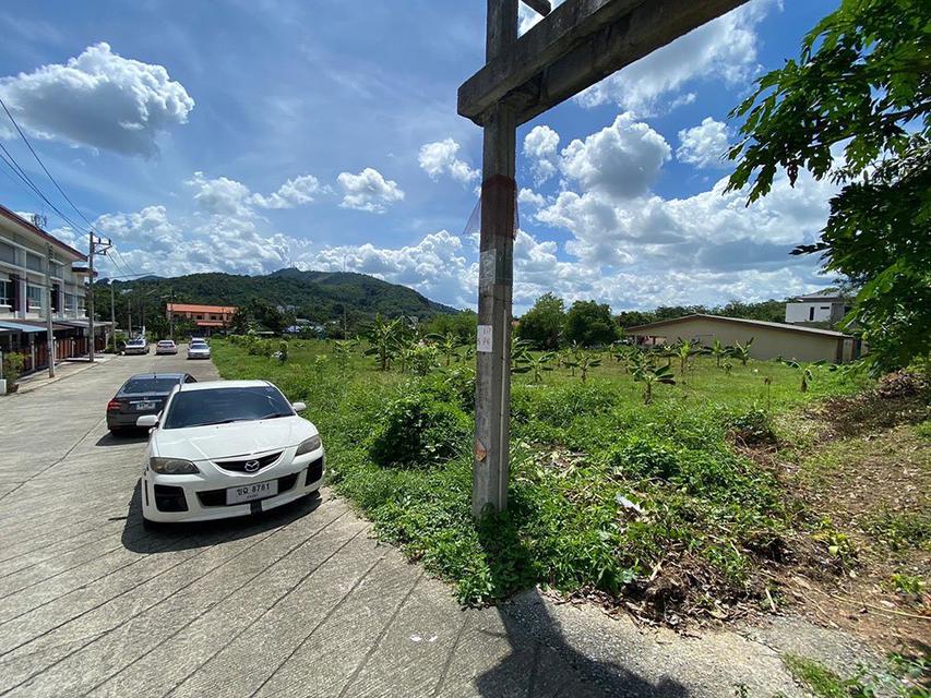 ปล่อยเช่า ที่ดิน 2 ไร่ ทำเลทองหาดใหญ่ อยู่ในชุมชน ใกล้ โรงเรียน มอ.วิทยานุสรณ์ (ห่างเพียง 1 กม.) 3