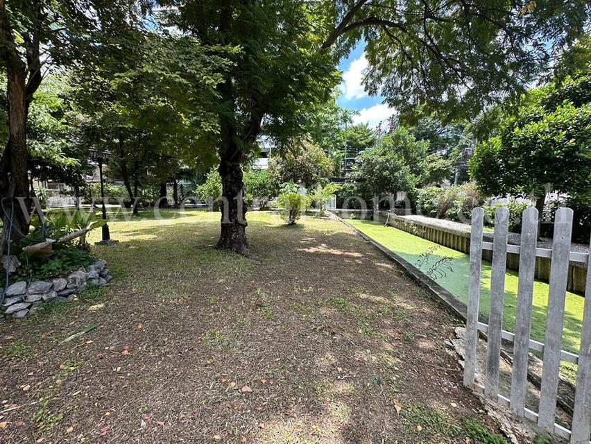 ให้เช่า ที่ดิน 249.2 ตร.วา ซอยเย็นอากาศ 3 สาทร  10