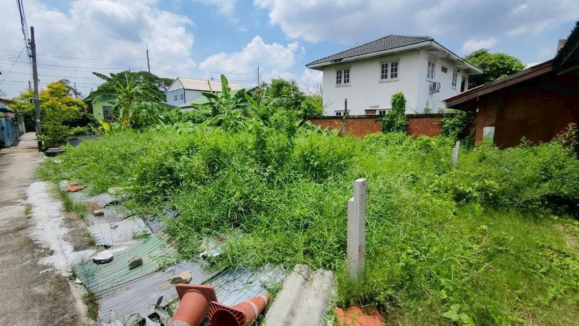 ขายที่ดิน 50+ ตรว 8 แปลง ซอย เรวดี 75 ทะลุรัตนาธิเบวท์ 5นาที ทำเลทอ หมดหมดหมดเลย 2