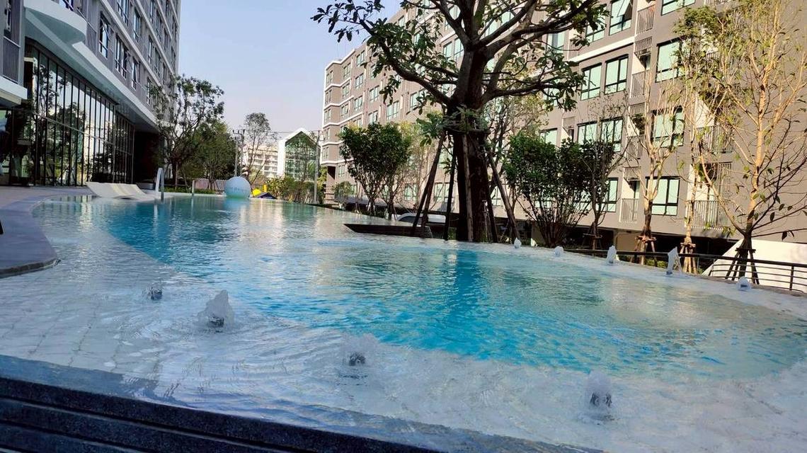 โครงการ : ดิ ออริจิ้น สุขุมวิท 105 | The Origin Sukhumvit 105 9