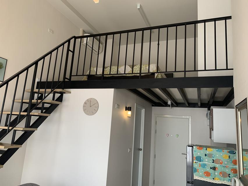 ให้เช่า Blossom Condo at  Fashion Beyond at Fashion 9