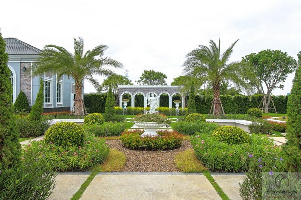 โครงการ Golden Neo บางนา-สวนหลวง บ้านเดี่ยวทำเลดี ใกล้ Mega Bangna 4 ห้องนอน 3 ห้องน้ำ พร้อมเข้าอยู่ 10