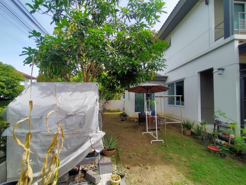 บ้านเดี่ยวพร้อมเข้าอยู่ มีบริเวณ โครงการดี นนทบุรี ใกล้ศาลายา